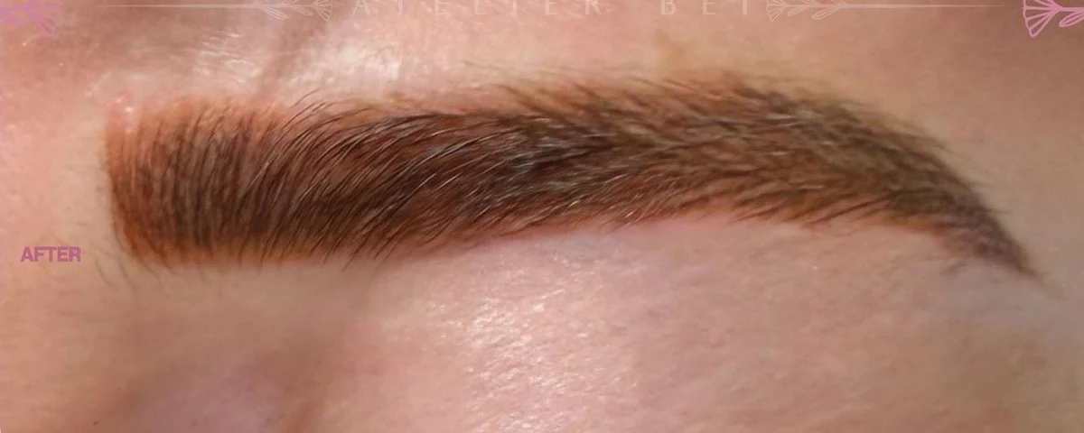 Soft Powder Hybrid Brow